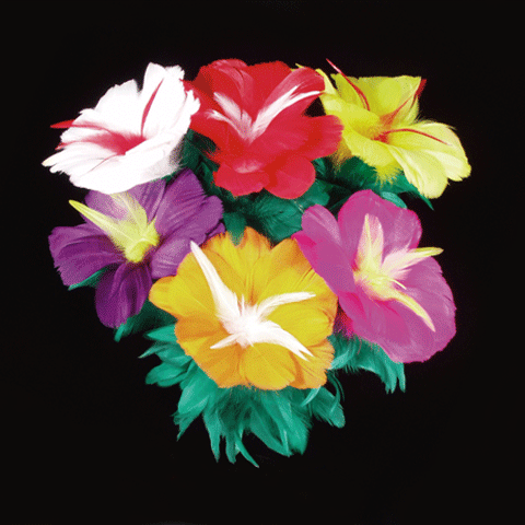 Bouquet de six fleurs