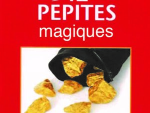 12 Pépites magiques-Duraty-Livre