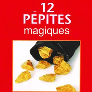 12 Pépites magiques-Duraty-Livre