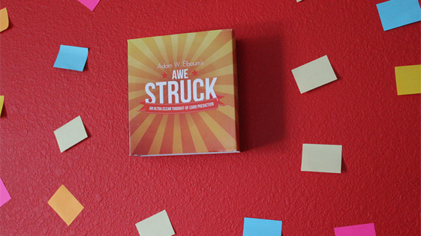 AWE Struck-Tour+DVD-Adam Elbaum