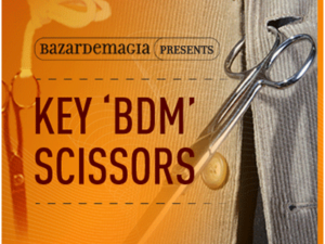 Key BDM Scissors