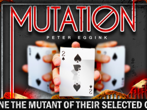 Mutation-Peter Eggink-Tour