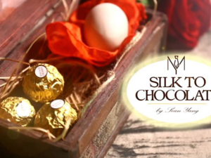 Silk to Chocolate (Ferrero Rocher)- Sean Yang