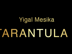 Tarantula II - Yigal Mesika