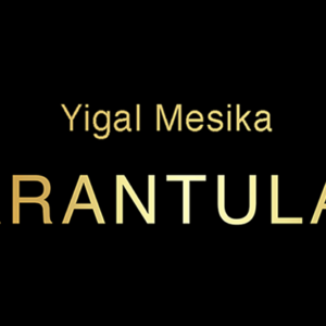 Tarantula II - Yigal Mesika