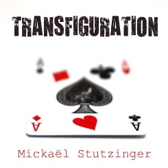 Transfiguration-Mickael Stutzinger