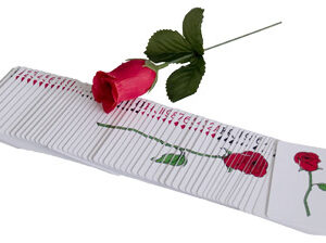 Rose from card