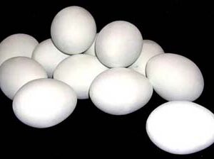 Oeufs