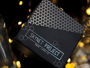 Skynet Project - Marc Lavelle