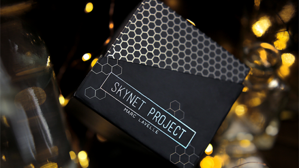 Skynet Project - Marc Lavelle