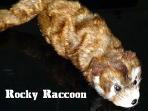 Reality Raccoon- Le raton laveur