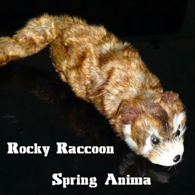 Reality Raccoon- Le raton laveur