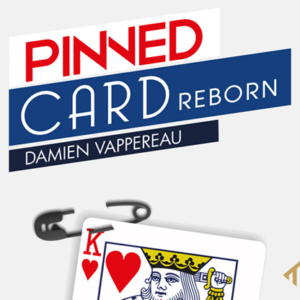 Pinned Card Reborn -Damien Vappereau