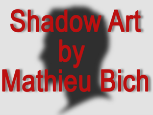 Shadow Art (bat man)- Mathieu Bich