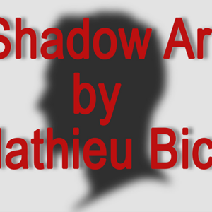 Shadow Art (bat man)- Mathieu Bich
