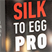 Silk to Egg PRO Version brune)-Joao Miranda
