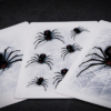 The Web Returns – Image 3