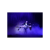 Magie Image - Bertrand Lotth – Image 2