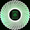 Bicycle MetalLuxe Emerald Playing Cards Limited Edition by JOKARTE – Image 3
