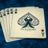 Limited Edition Peacocks Playing Cards by Rocsana Thompson – Image 4