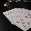 The Circle Crop Playing Cards by X-ZONE – Image 2