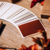 NOC on Wood (Brown) Playing Cards – Image 4