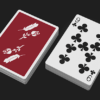 Remedies Playing Cards by Madison x Schneider – Image 4
