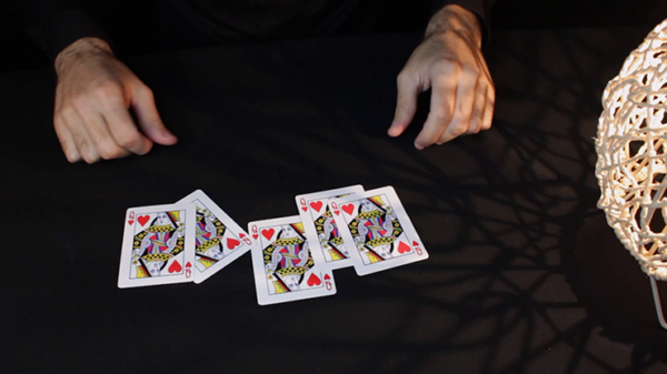 Bicycle Special Deck Playing Cards (plus 11 Online Effects) – Image 4