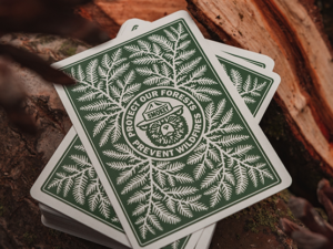 Smokey Bear Playing Cards by Art of Play