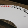 Bicycle Purple Playing Cards by US Playing Card Co – Image 3