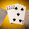 Bicycle Honeybee (Black) Playing Cards – Image 2