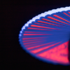 Fluorescent (Peach Edition) Playing Cards – Image 4