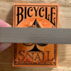 Gilded Bicycle Snail (Orange) Playing Cards