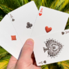 Bicycle Dinosaur Playing Cards – Image 4