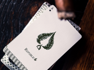 Republics: Jeremy Griffith Edition Playing cards