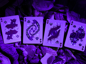 Bioluminescent Playing Cards