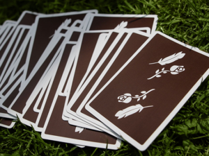 Brown Remedies Playing Cards by Madison x Schneider