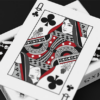 MxS Casino Stingers Playing Cards by Madison x Schneider – Image 2