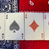 Gilded Bicycle Bandana (Blue) Playing Cards – Image 3