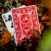 Bonfires Red (includes Card Magic Course) by Adam Wilber and Vulpine