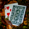 Bonfires Green (includes Card Magic Course) by Adam Wilber and Vulpine