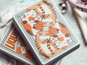 Liquid Cat Playing Cards by 808 Magic and Bacon Playing Card