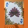 Bicycle Balloon Desert (Stripper) Playing Cards – Image 4
