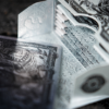 White Tiger Black Gold Box Set by Ark Playing Cards – Image 3