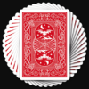 Pro Edition Night Flight Playing Cards by Steve Dela – Image 2