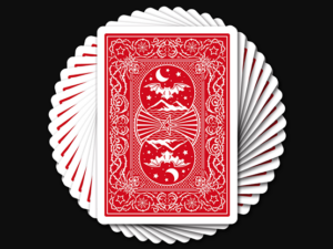 Pro Edition Night Flight Playing Cards by Steve Dela