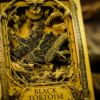 Black Tortoise Black Gold Box Set by Ark Playing Cards – Image 3