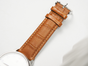 Watchband Camel by PITATA MAGIC – Trick