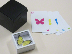 Magic Butterfly T-262 (2015) by Tenyo Magic Co. – Trick