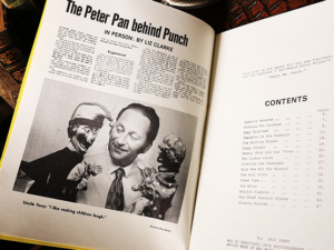 Professional Punch by Tony Green – Book